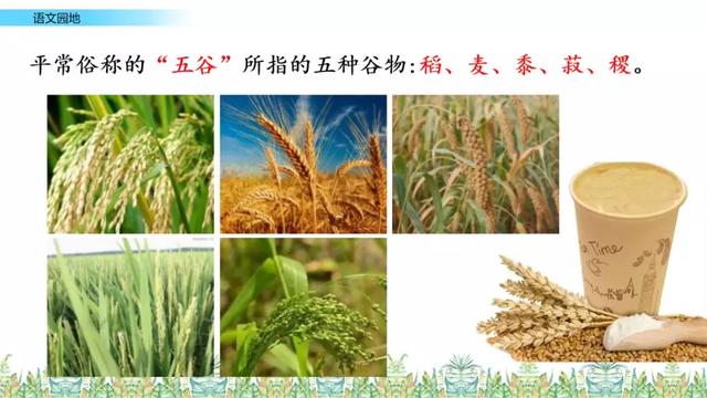 鏖战犹酣的意思，鏖战犹酣的意思近义词（部编版六年级语文上全册课文课后习题参考答案）