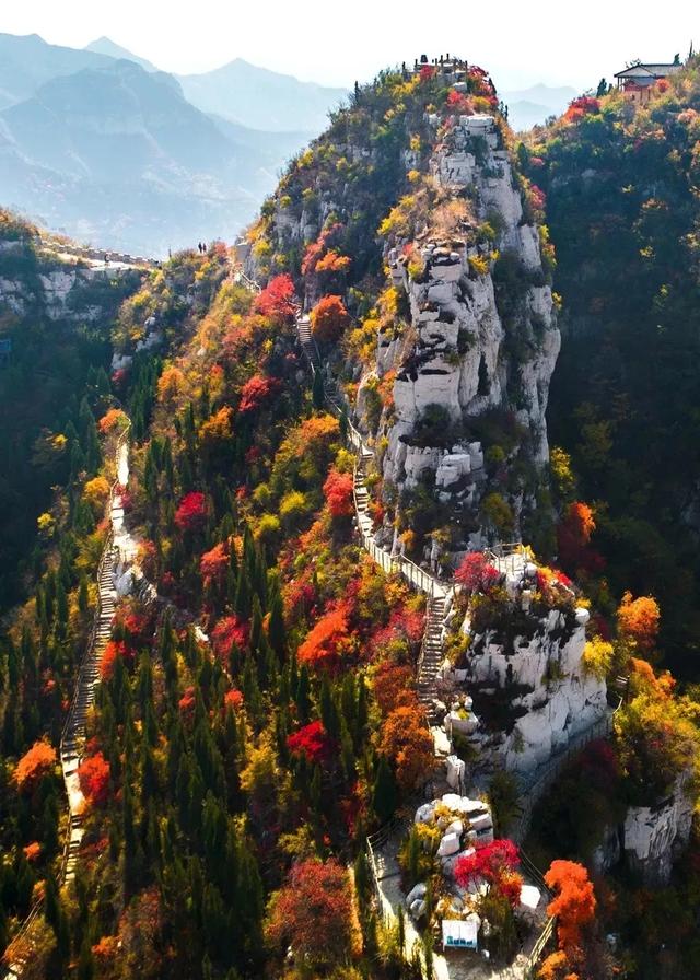 满山红叶似彩霞，阿宝歌曲大全（山东最全赏红叶地图来了）