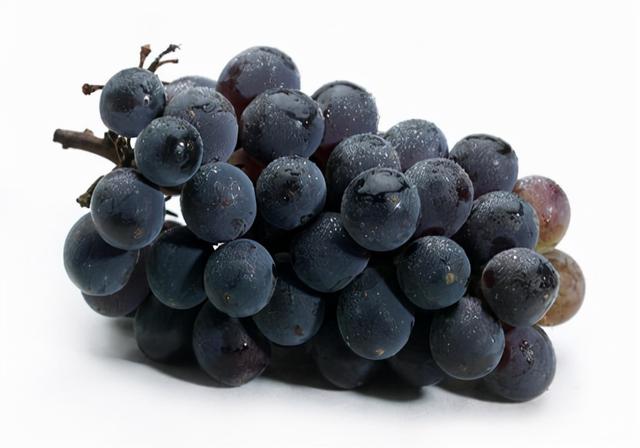 狗狗拉血治疗方法，狗狗拉稀带血丝怎么办（汇总：狗狗便血呕吐，严重吗）