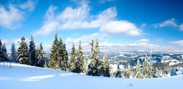 什么两个字的大雪填空，什么的冬雪两字填空（毛泽东笔下的霜雪）