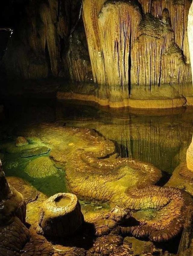 古老的东方有一条龙，龙的传人原唱是谁（专家：至少存在上亿年）