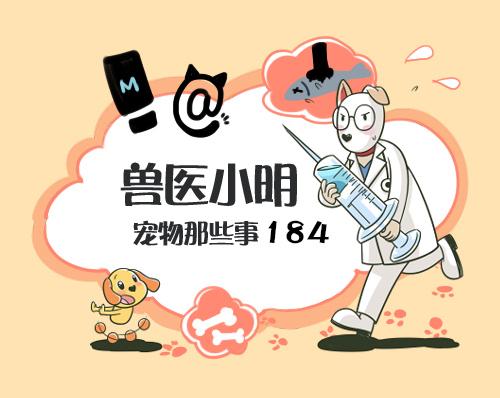 并不是所有人都适合养猫咪，有一部分人根本不适合养喵