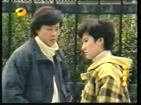 沈孟生演过的电视剧，沈孟生（8090年代中国大陆引进的台湾电视剧）