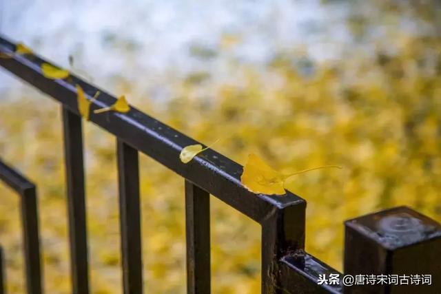 飘洒的秋雨像什么,飘洒的秋雨像什么如何造句(十首秋雨诗词) 飘洒的秋雨像什么,飘洒的秋雨像什么如何造句(十首秋雨诗词)