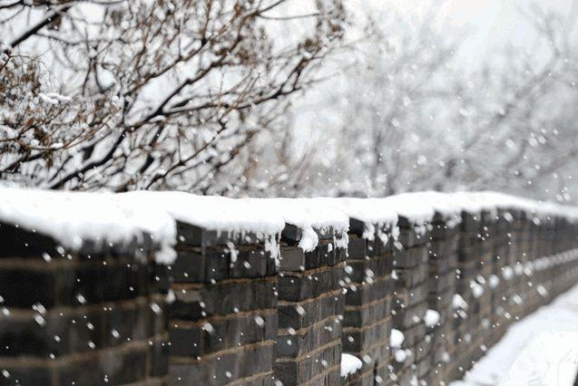 生日当天放生的好处，生日放生有什么讲究吗（今天是传说中最神奇的日子）