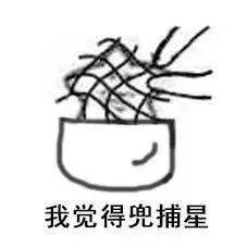 holder是什么意思，beholder是什么意思（保单及其保险金，究竟归谁）