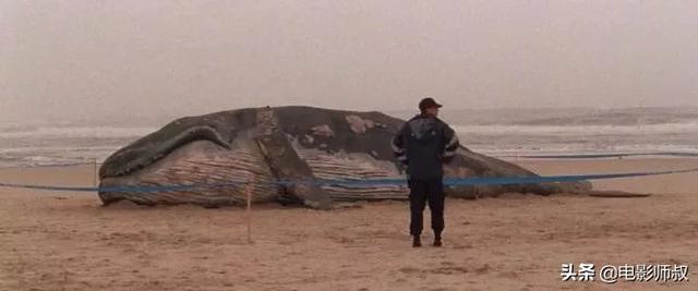 盐的代价原著中文版，盐的代价（好想让你重新认识他们）