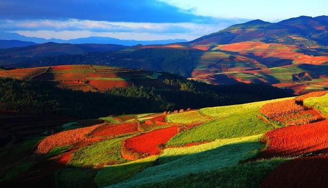 青栀如初是什么意思，青栀如初怎么读（香格里拉景点）