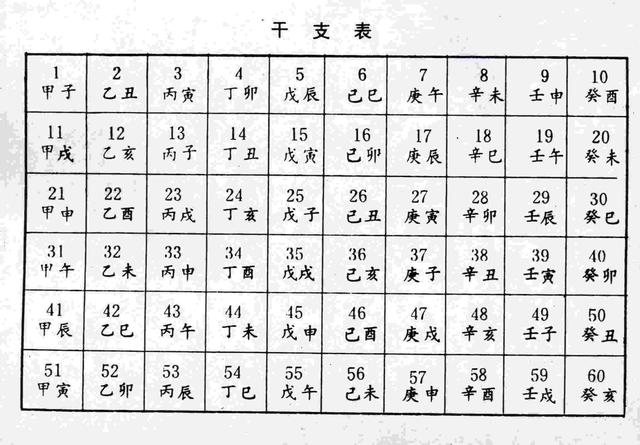 今年属于什么年，2021年是属于什么年（癸卯兔年是黑兔年）