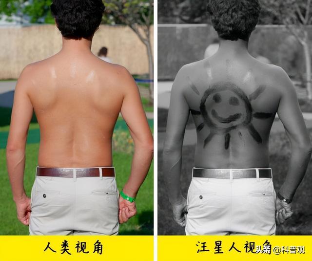 人眼的像素有多高，人眼的像素是多少（人眼像素高达5.76亿）