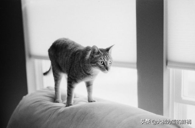 得了艾滋一辈子完了吗，感染艾滋病的一生就完了（多注意这些小细节）