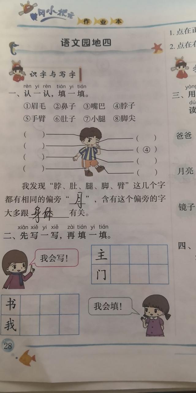 腹组词语和部首，瞧组词语（一年级家长留步下册《语文园地四》知识点易错点）