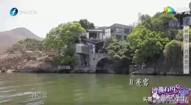 杨丽萍婚姻，杨丽萍结婚对象（为何在关键时刻打掉孩子）