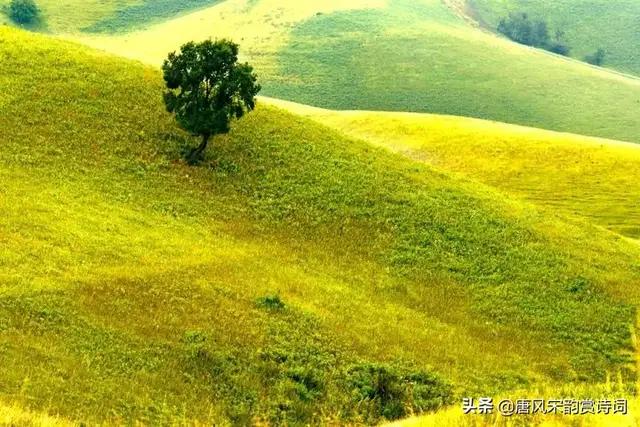 夏去秋来的诗句，暑去秋来诗句（七言………夏去秋来。）