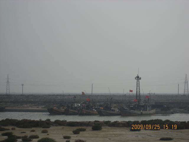 黄河入海口在哪个城市，黄河入海口在哪里（但你见过黄河入海口吗）