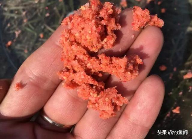 钓鲤鱼用什么饵料，冬天钓鲤鱼用什么饵料（丸九“四大金刚”都上榜）