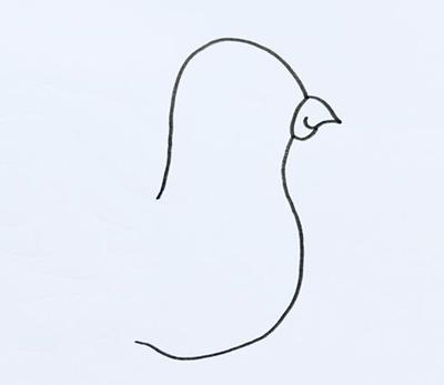 鸽子怎么画简笔画图片，鸽子简笔画怎么画（和平鸽的简笔画怎么画）
