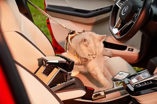 中国元素头像 古风闺蜜春游头像微信，中国元素头像 古风闺蜜春游头像（元Pro保驾护航）