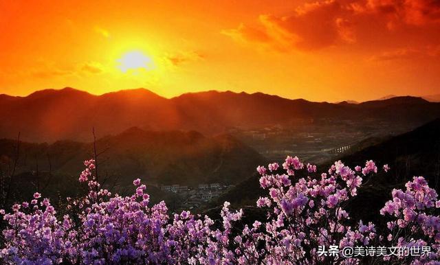 醉里吴音相媚好的意思，相媚好什么意思（辛弃疾很有趣的一首词）