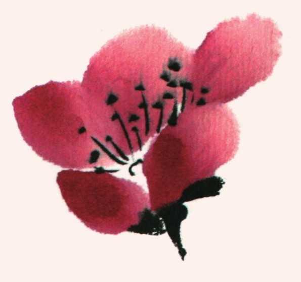 简单国画梅花，怎么样用圈点结合画法画梅花