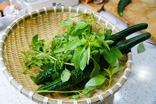 荆芥为什么只有河南人吃,河南人吃的荆芥是什么菜(河