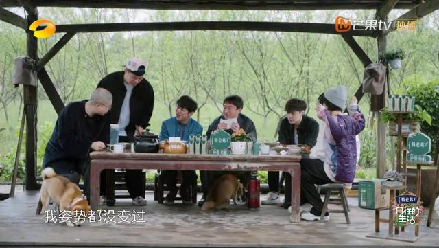 向往的生活彩灯是什么品种，向往的生活里的彩灯是什么动物（那英成《向往的生活》最“炸场”嘉宾）