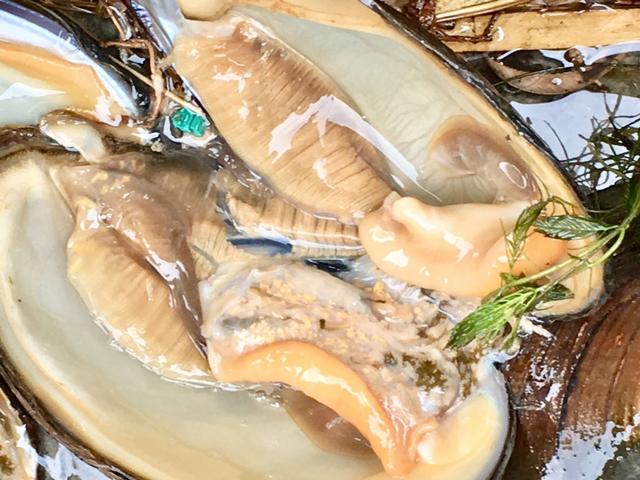 河蚌怎么做好吃，河蚌怎么做好吃又嫩（河蚌相信很多朋友都没吃过）