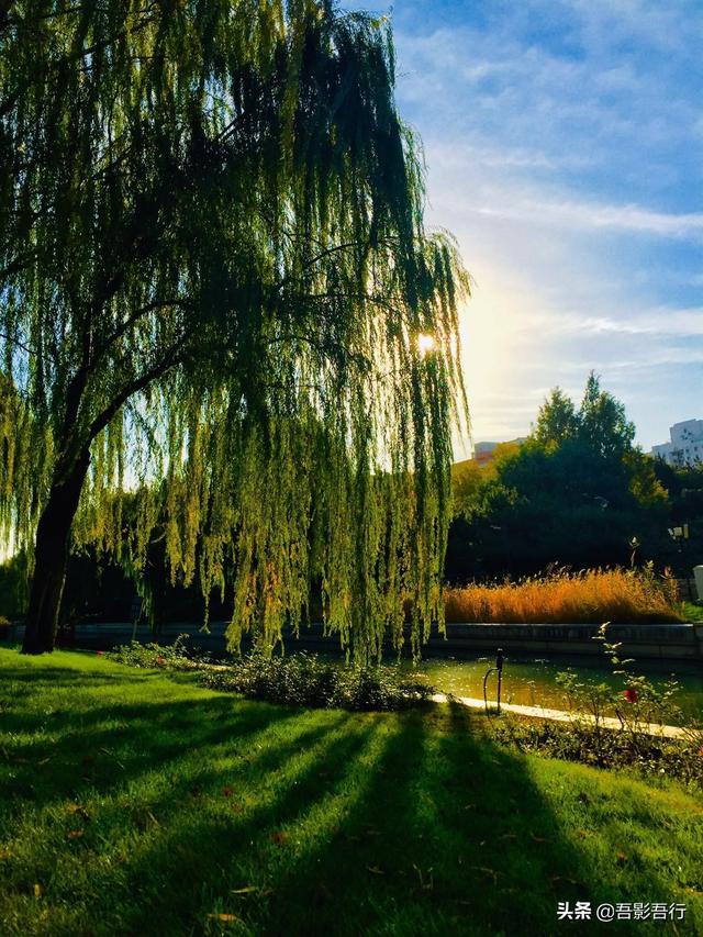 元大都遗址位于现在哪里，元大都遗址位于现在的哪个城市（遗迹众多、秋色醉人、晨跑、遛弯的生态园林）