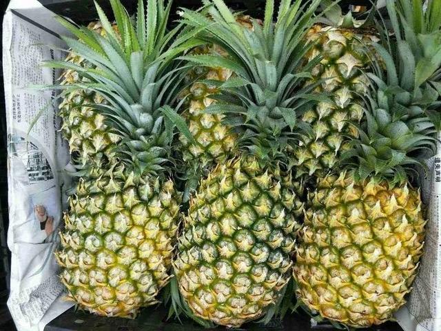 霸王花是火龙果的花吗，昙花、霸王花、火龙果花和令箭荷花的区别（奶奶把一根枝插土里）