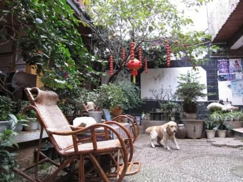 兴旺是什么意思，兴旺的意思（这3种树寓意好添子添福）