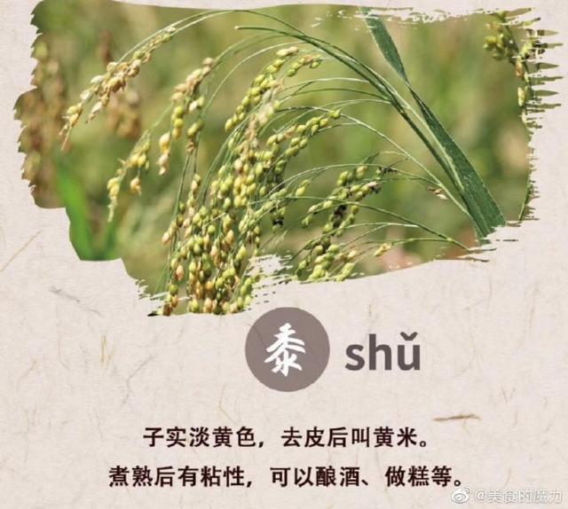 五谷丰登指的是哪五谷，五谷丰登是哪五谷（你知道“五谷丰登”是哪“五谷”吗）