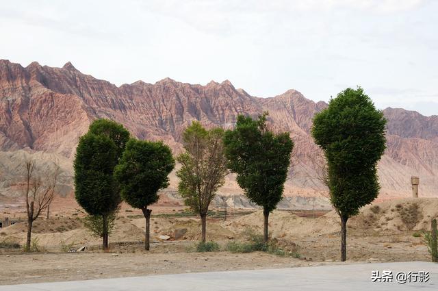 一个人的龟兹，一个人的龟兹演员是谁（探密克孜尔千佛洞背后的故事）