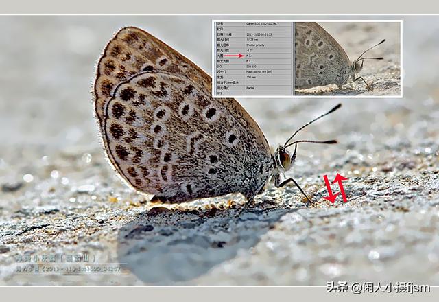 景深是什么意思，巫师3景深是什么意思（摄影景深的含义是什么）