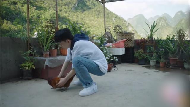 毛晓彤电视剧大全，毛晓彤演过的电视剧（《三十而已》和《隐秘的角落》变成一家人）