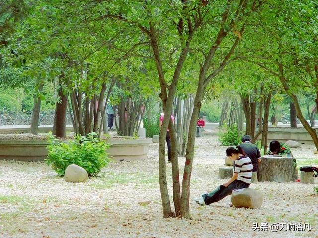 湖北大学怎么样,排名好不好(湖北大学,湖北省属最强高校) 湖北大学怎么样,排名好不好(湖北大学,湖北省属最强高校)