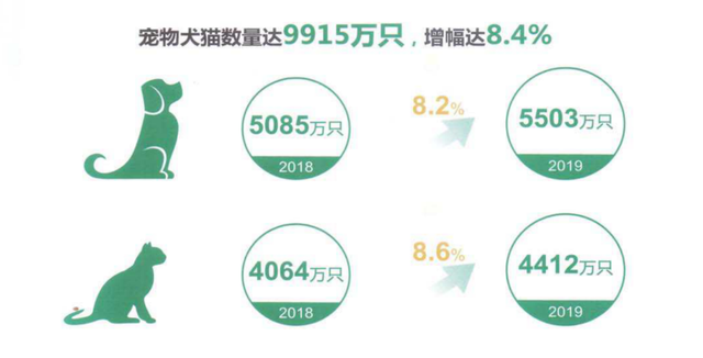 宠物婚介也很暴利，能赚多少你说了算，宠物婚介的主要特征（从官园到闲鱼的“它相亲”蓬勃发展的细分市场）