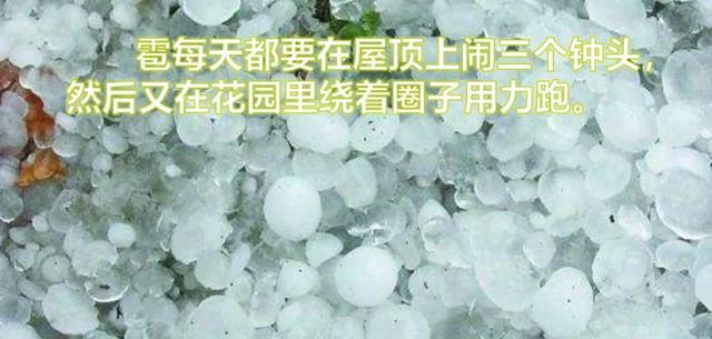 硕大无朋的硕是什么意思，硕大无朋什么意思啊（部编语文四年级下第26课《巨人的花园》知识点+图文讲解+课堂测试）