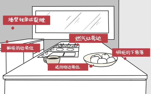 房间里有蟑螂怎么办，房间里面有蟑螂怎么处理（灭蟑螂，最靠谱的2招）