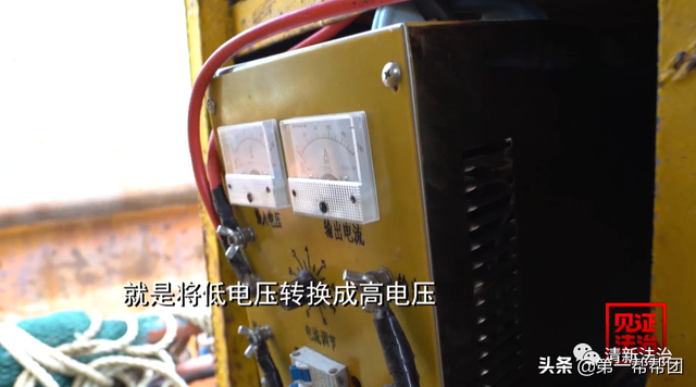 鲎是保护动物吗，鲎是保护动物吗为啥（休渔期非法捕捞国家保护动物中华鲎）