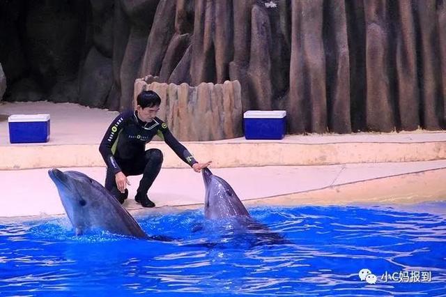 珠海长隆游玩攻略，珠海长隆游玩攻略图（带娃去珠海长隆该怎么玩）