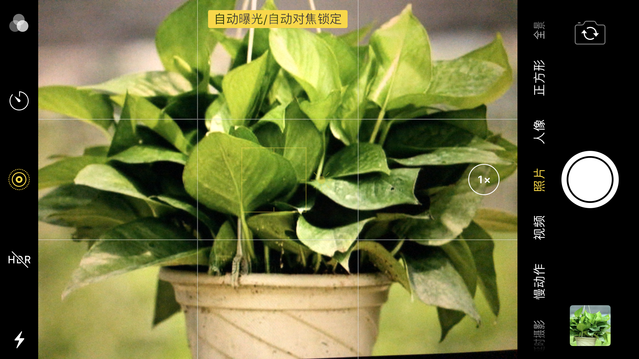 苹果手机的照片(iphone照片)
