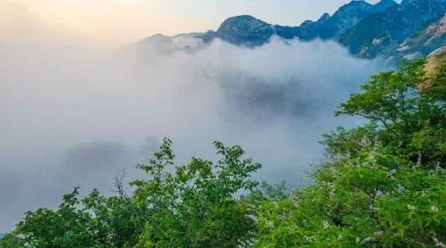 獾猪是几级保护动物，獾油治疗痔疮有奇效（北京市有瀑布的3A级景区推荐）