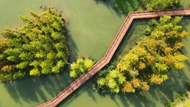 杨洲在扬州在哪里，扬州和杨洲是一地方吗（什么是扬州）