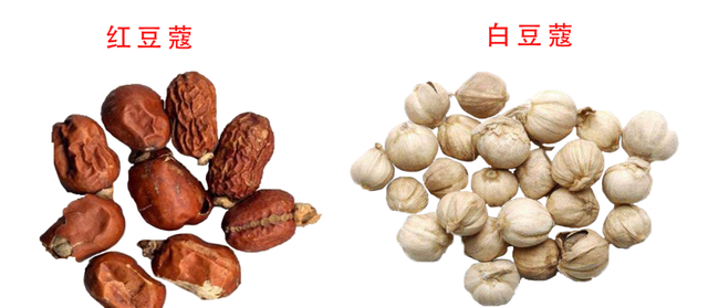 豆蔻是什么，“豆蔻年华”中的豆蔻是哪一种豆蔻（酸梅汤里面肉豆蔻是什么）