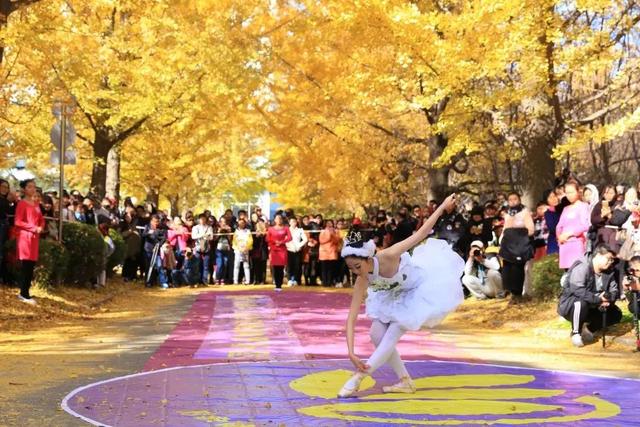 辽东学院宿舍条件怎么样，辽东学院宿舍几人间（辽宁省普通高等院校）