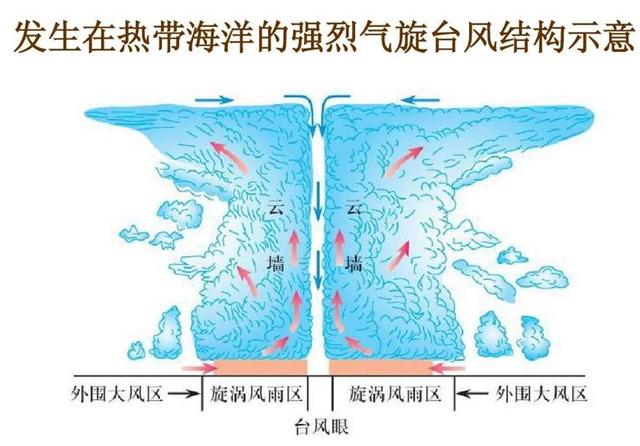 台风为什么产生在热带海洋上，台风为什么产生在热带海洋上呢（）