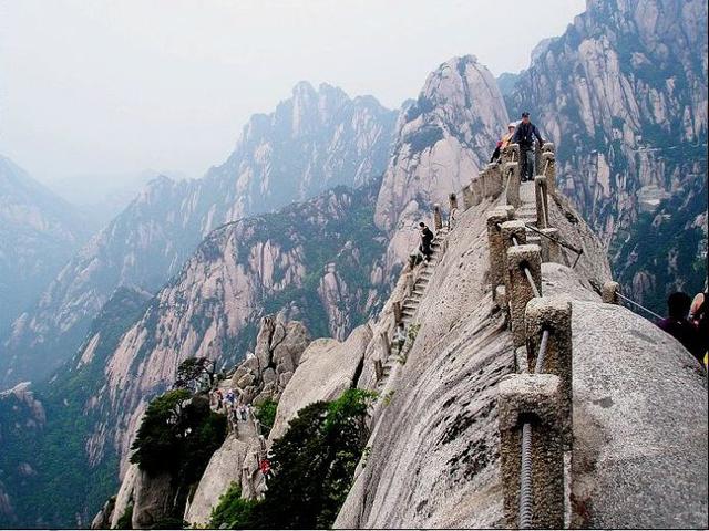 五彩玉米是转基因吗，彩糯玉米是转基因玉米吗（辨别转基因玉米的正确方法）