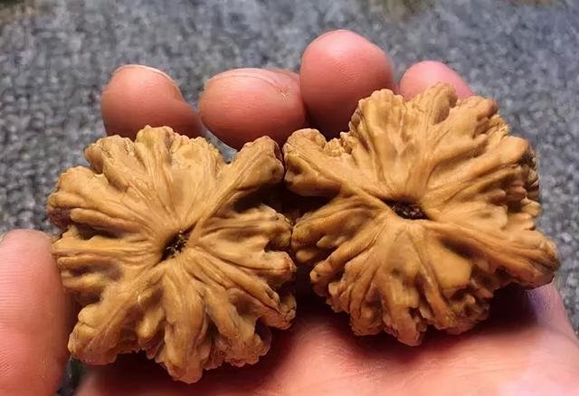 核桃怎么盘玩效果最好，盘玩核桃的正确方法（文玩核桃这样盘玩才会红得快）