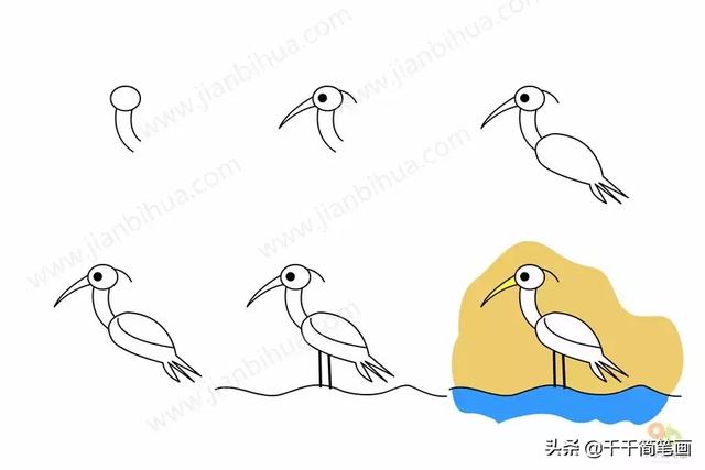 大雁簡筆畫三步,大雁簡筆畫 人字形(兒童簡筆畫:50組動物素材)