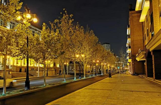 白果有什么功效，白果有什么功效与作用（捡回来的白果，到底能不能吃）